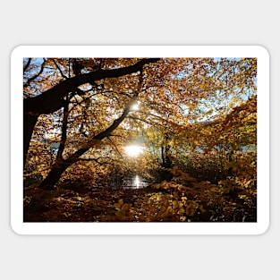 Autumn by the lake Sticker